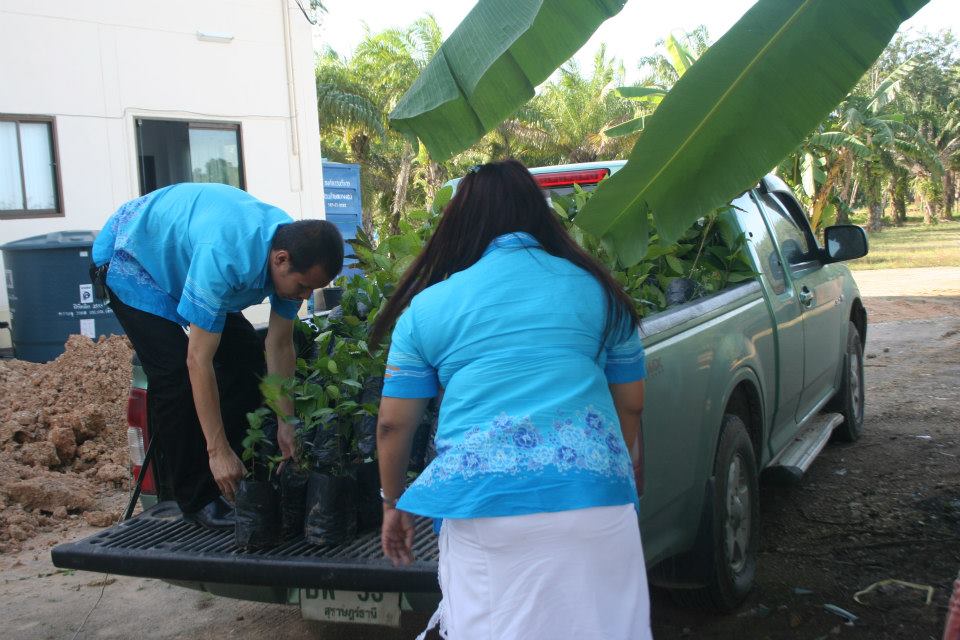 องค์การบริหารส่วนตำบลบางงอน จัดเตรียมกล้าไม้ที่จะแจกหมู่บ้านเพื่อน
