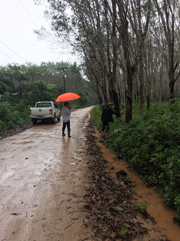 สำรวจพื้นที่การก่อสร้างถนนลาดยางสายต้นสมอ ม.10 ต.บางงอน